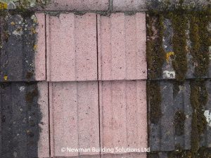 roof-tiles-cleaned-using-stonehealth-doff